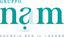 Gruppo NAM Logo